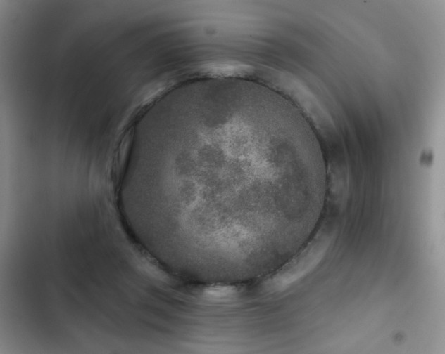 X0000102850357200808181423
