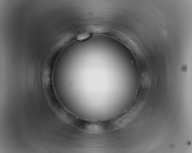 X0000102850358200808181423