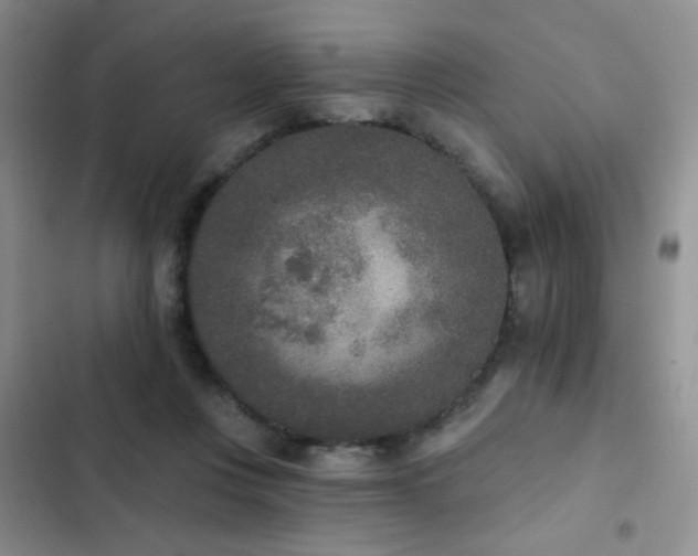 X0000102850359200808181423
