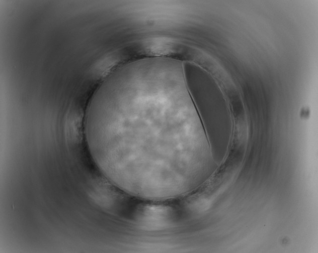X0000102850360200808181423