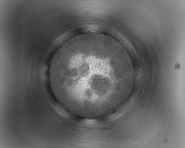 X0000102850361200808181423