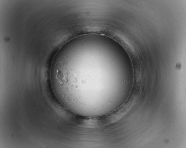 X0000102850362200808181423