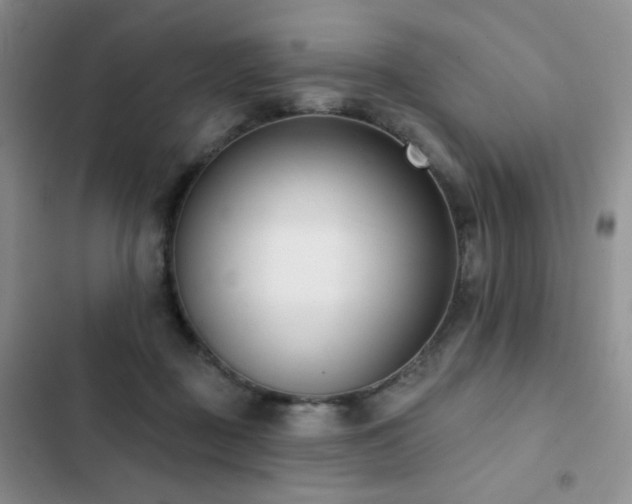 X0000102850363200808181423