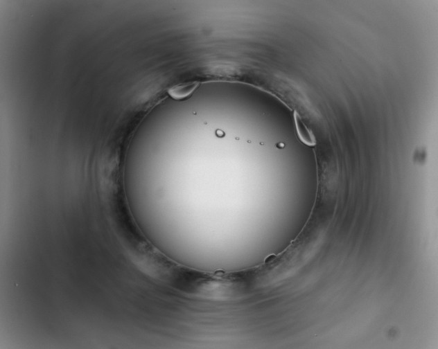 X0000102850364200808181423