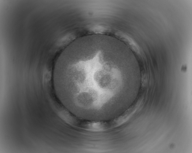X0000102850365200808181423