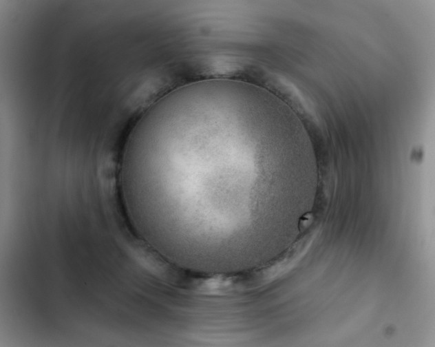 X0000102850366200808181423