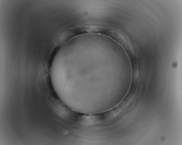 X0000102850367200808181423