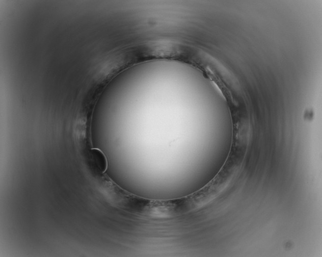 X0000102850368200808181423