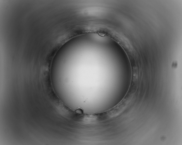 X0000102850369200808181423