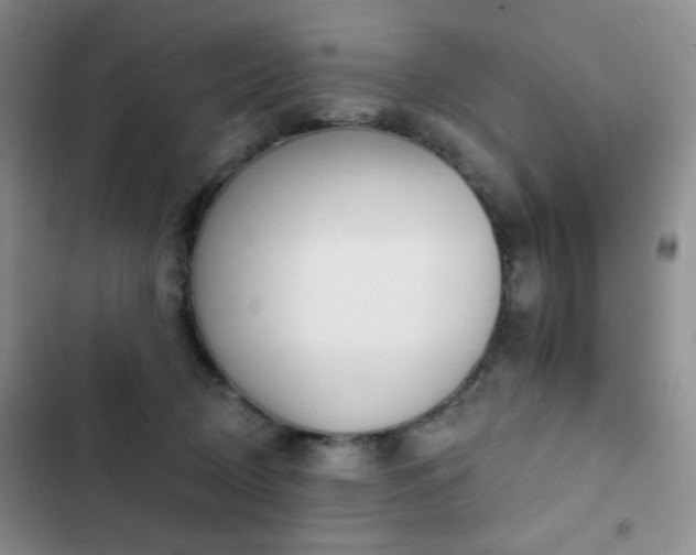X0000102850370200808181423