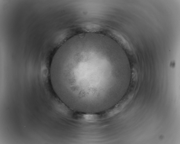 X0000102850371200808181423