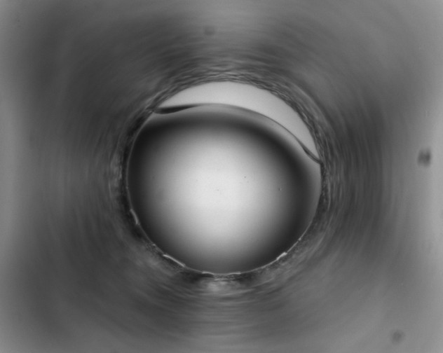 X0000102850372200808181423
