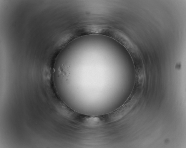 X0000102850374200808181423