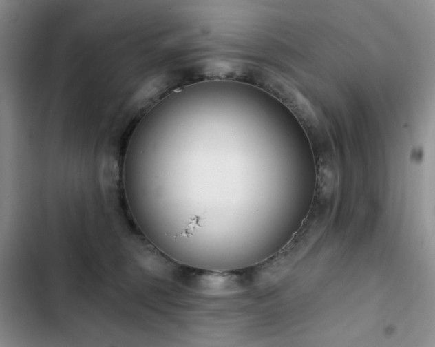 X0000102850375200808181423