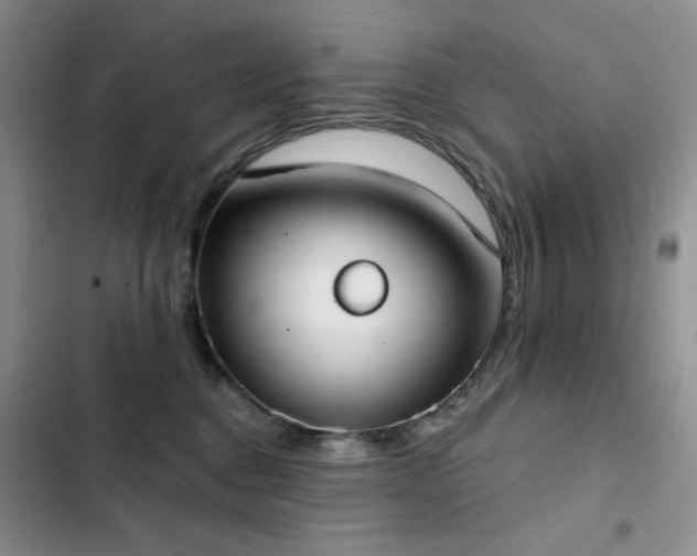X0000102850376200808181423
