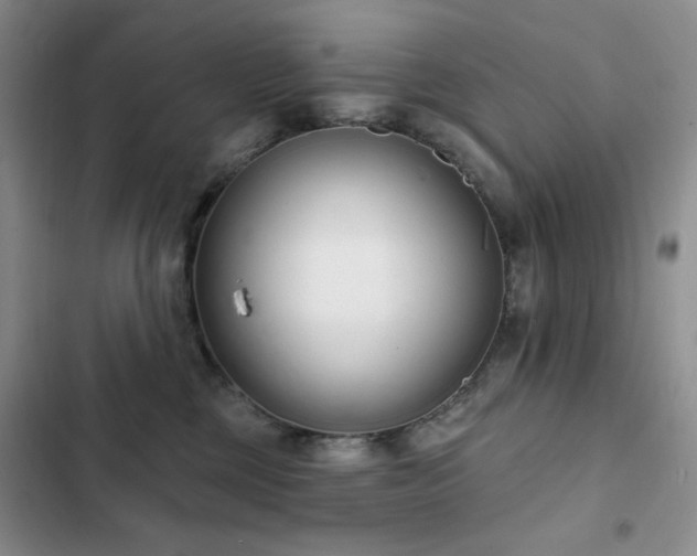 X0000102850377200808181423