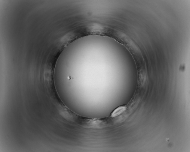 X0000102850379200808181423