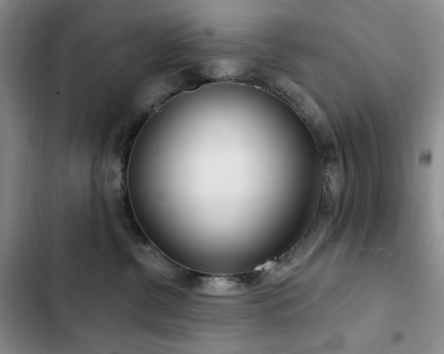 X0000102850380200808181423