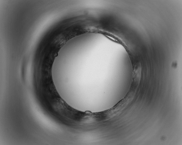 X0000102850381200808181423