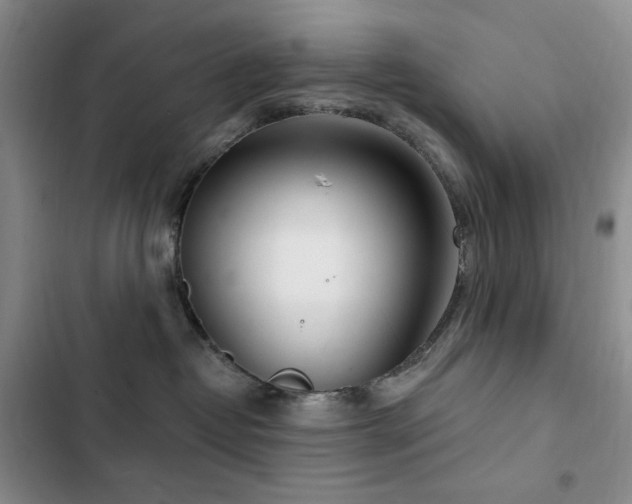 X0000102850382200808181423