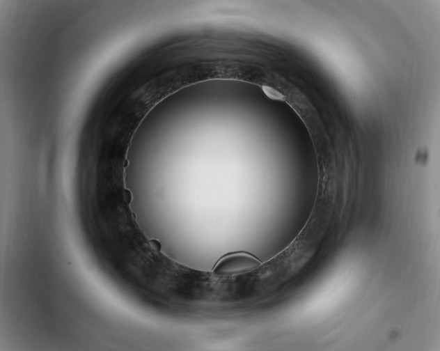 X0000102850383200808181423