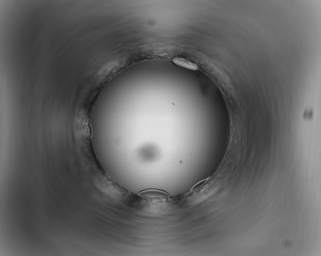 X0000102850384200808181423