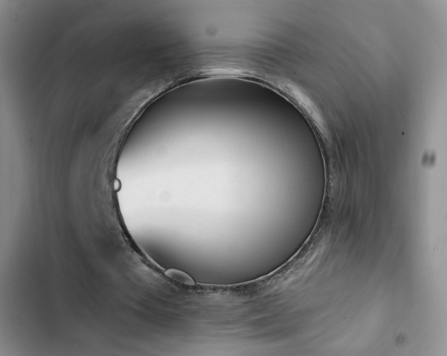 X0000102850385200808181423