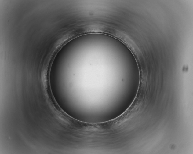 X0000102850386200808181423