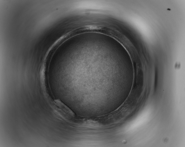 X0000102850387200808181423