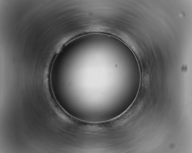 X0000102850389200808181422