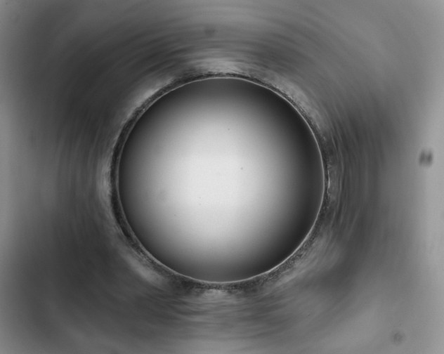 X0000102850390200808181422