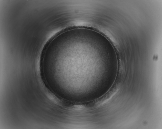 X0000102850391200808181422