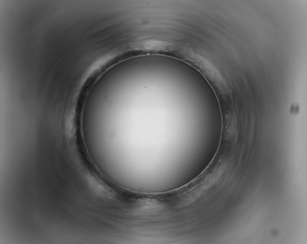 X0000102850392200808181422