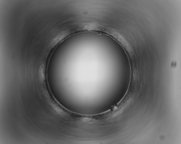 X0000102850393200808181422