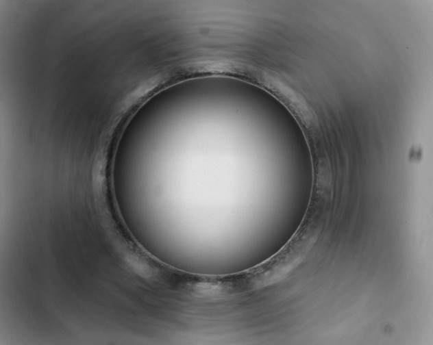 X0000102850394200808181422