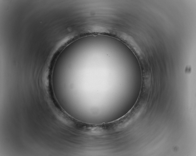 X0000102850395200808181422
