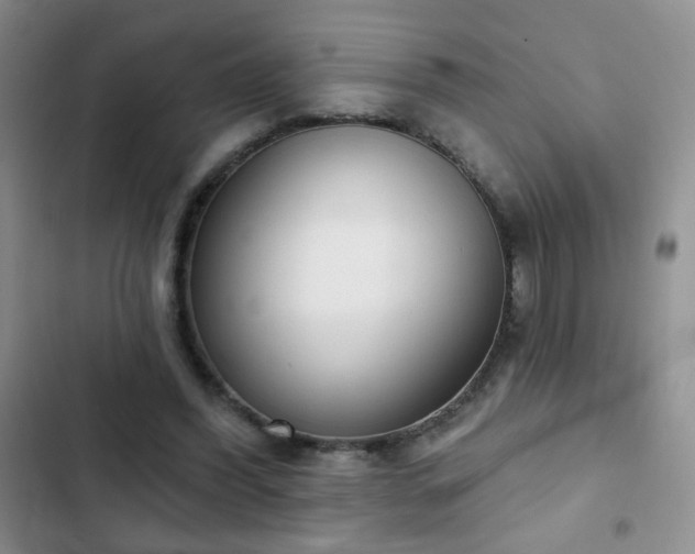 X0000102850396200808181422