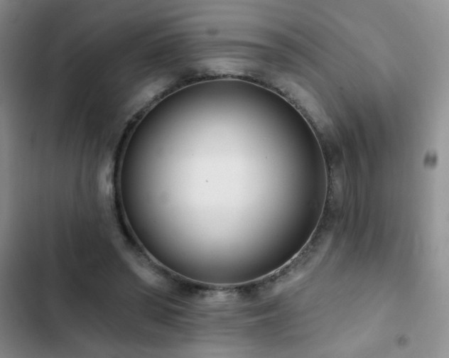 X0000102850398200808181422