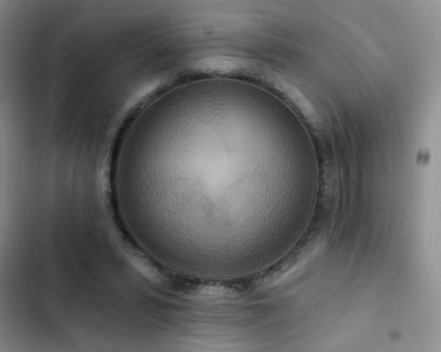 X0000102850399200808181422