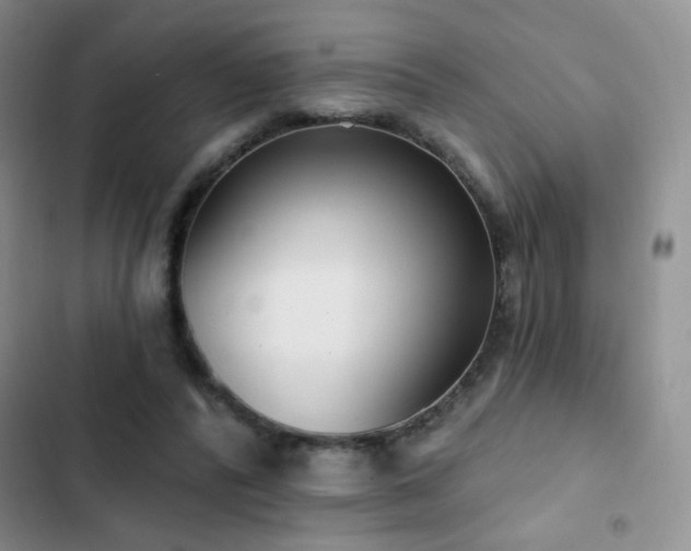 X0000102850400200808181422