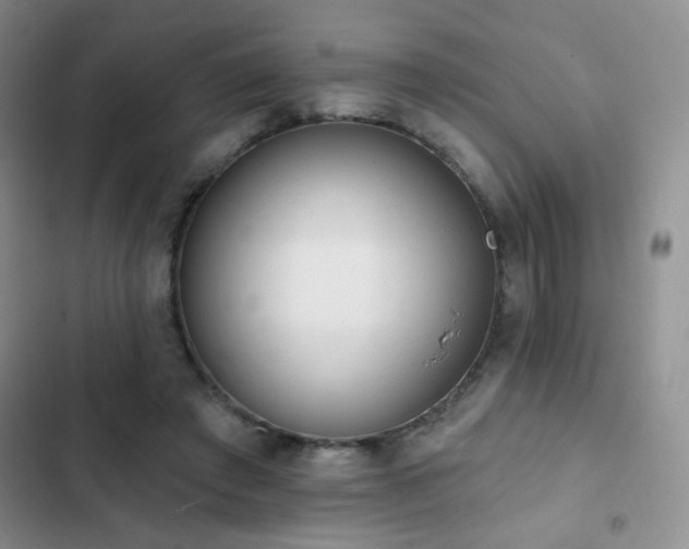 X0000102850401200808181422