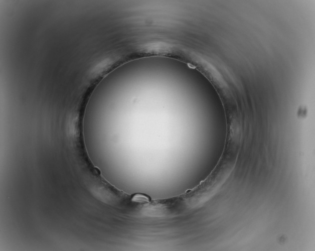 X0000102850403200808181422