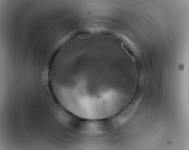 X0000102850405200808181422
