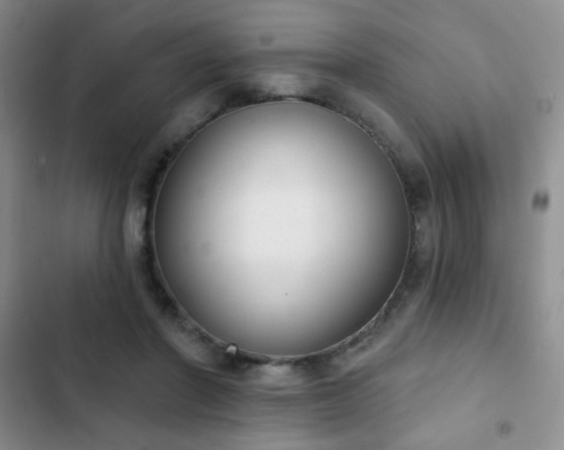 X0000102850406200808181422