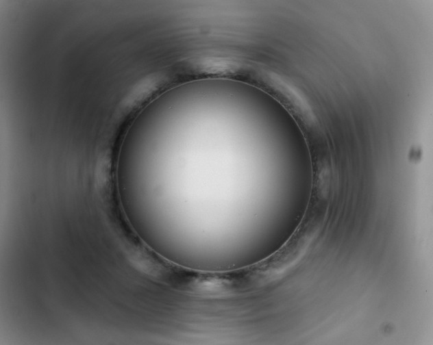 X0000102850407200808181422