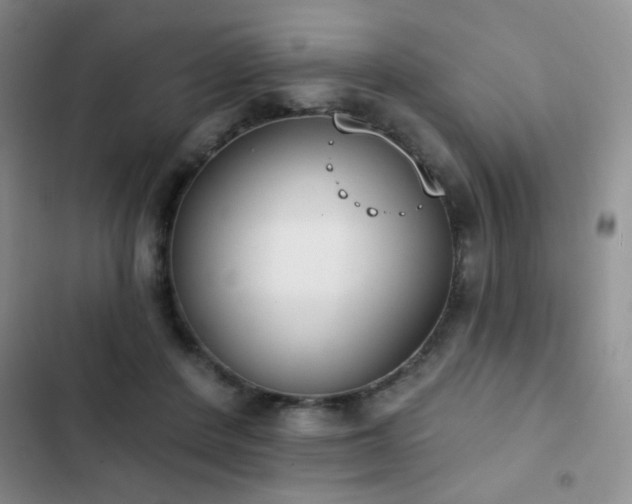 X0000102850408200808181422