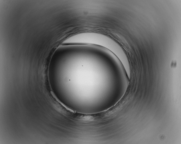 X0000102850409200808181422