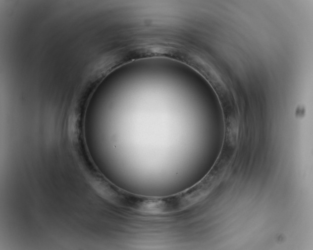 X0000102850410200808181422
