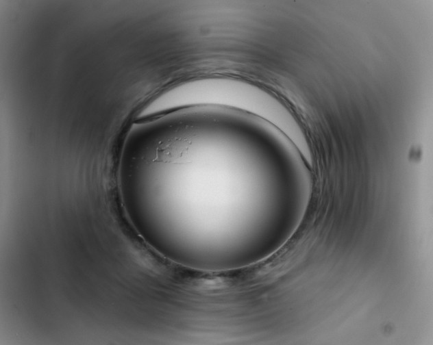 X0000102850411200808181422