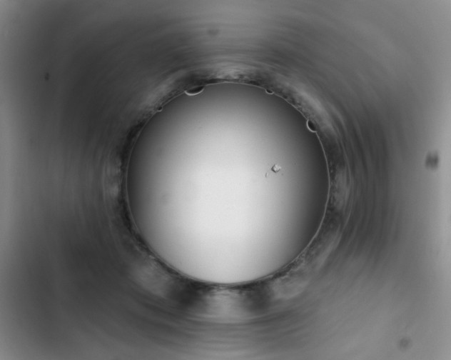 X0000102850413200808181422